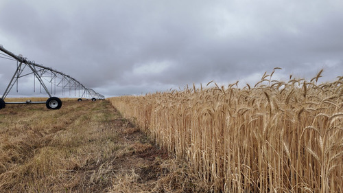 БАРУУН БҮСЭД ГУРИЛ ТЭЖЭЭЛИЙН ГААЛИЙН ТАТВАРЫГ ТЭГЛЭЛЭЭ